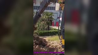 Maquinaria rotatoria de la plataforma de perforación de la perforación hidráulica profunda de la plataforma de perforación rotatoria del impacto los 25m